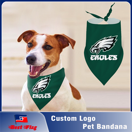 Custom Design Pet Bandana