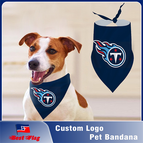 NFL Team Pet Bandana