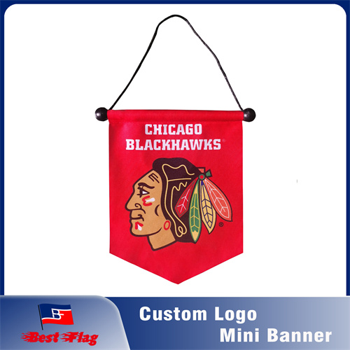 Custom Design Mini Banner