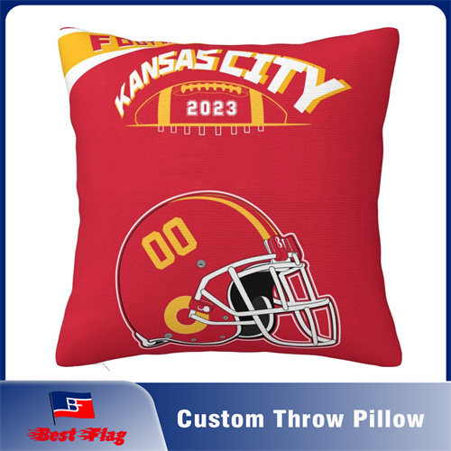 Custom Throw Pillow Cover